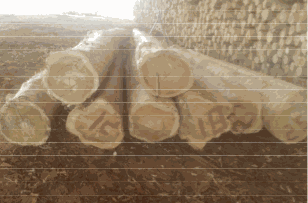 Flectra image and text block